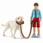 Walking with Labrador Retriever.   