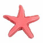 Coral Starfish.