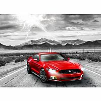Fifty Years of Power, 2015 Ford Mustang GT - Eurographics