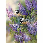 Chickadees and Lilacs - Cobble Hill