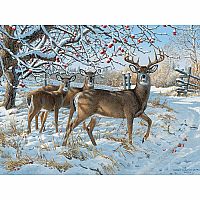 Winter Deer - Cobble Hill.