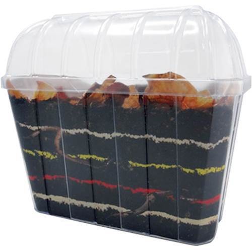 Worm Habitat Toy Sense