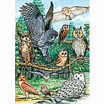 North American Owls Tray Puzzle - Cobble Hill