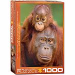 Orangutan & Baby - Eurographics