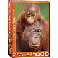 Orangutan & Baby - Eurographics