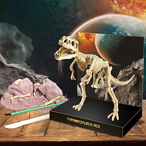 Grafix Dino Excavation Kit Excavation Dinosaur Fossils creuser votre propre T-Rex Squelette 