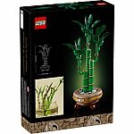 Botanical Collection: Lucky Bamboo.
