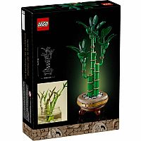 Botanical Collection: Lucky Bamboo.