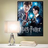 Harry Potter 500 Piece Poster-Puzzle