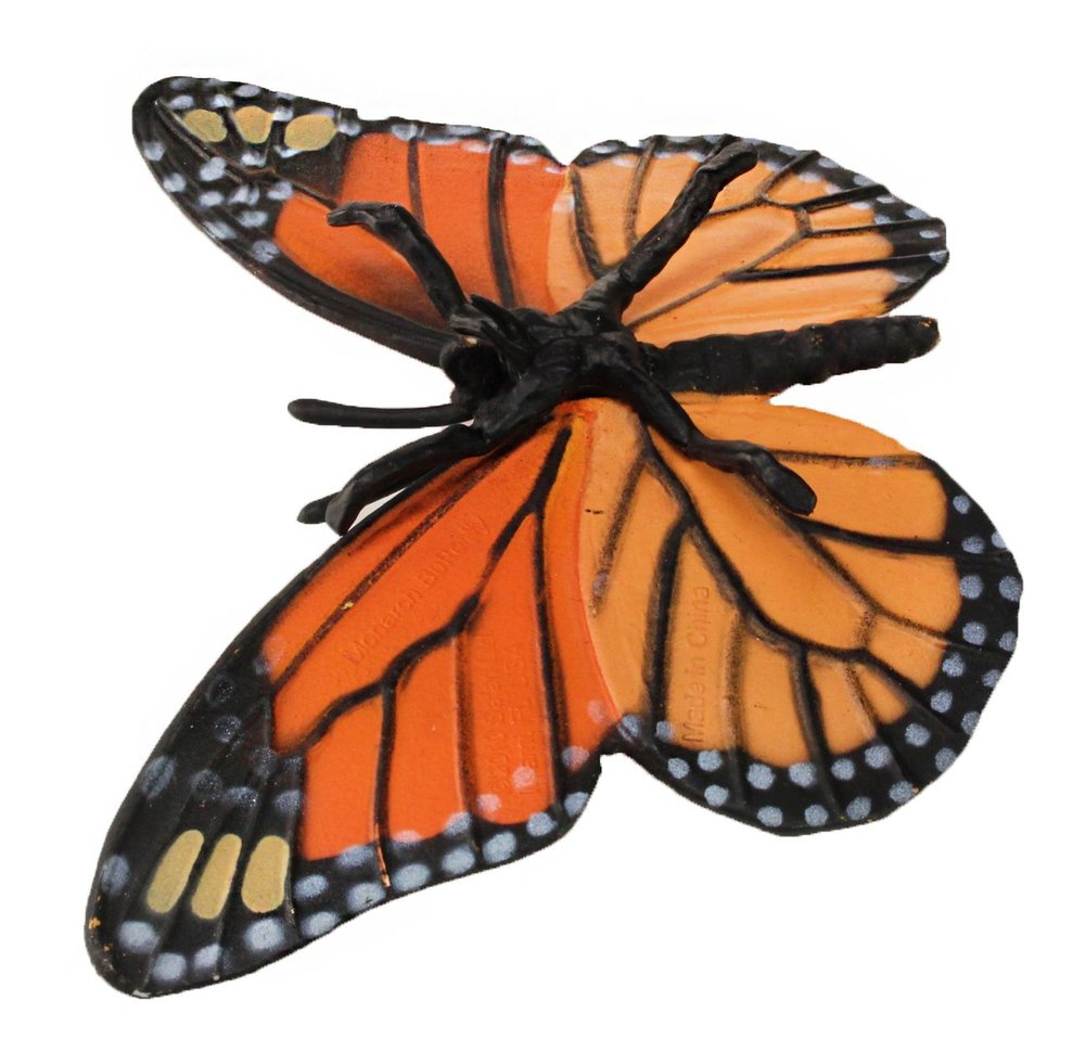 Life Cycle Of A Monarch Butterfly Toy Sense