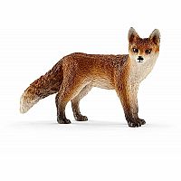 Fox.