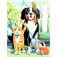 Paint by Number - Family Pets