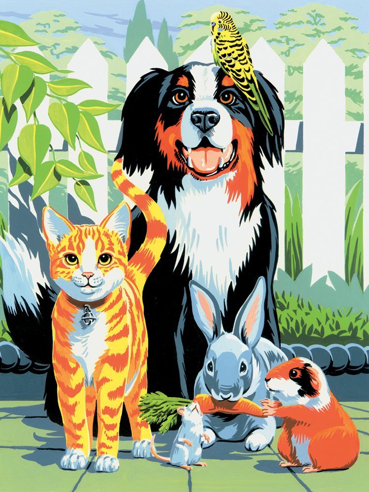 Paint by Number Family Pets Toy Sense