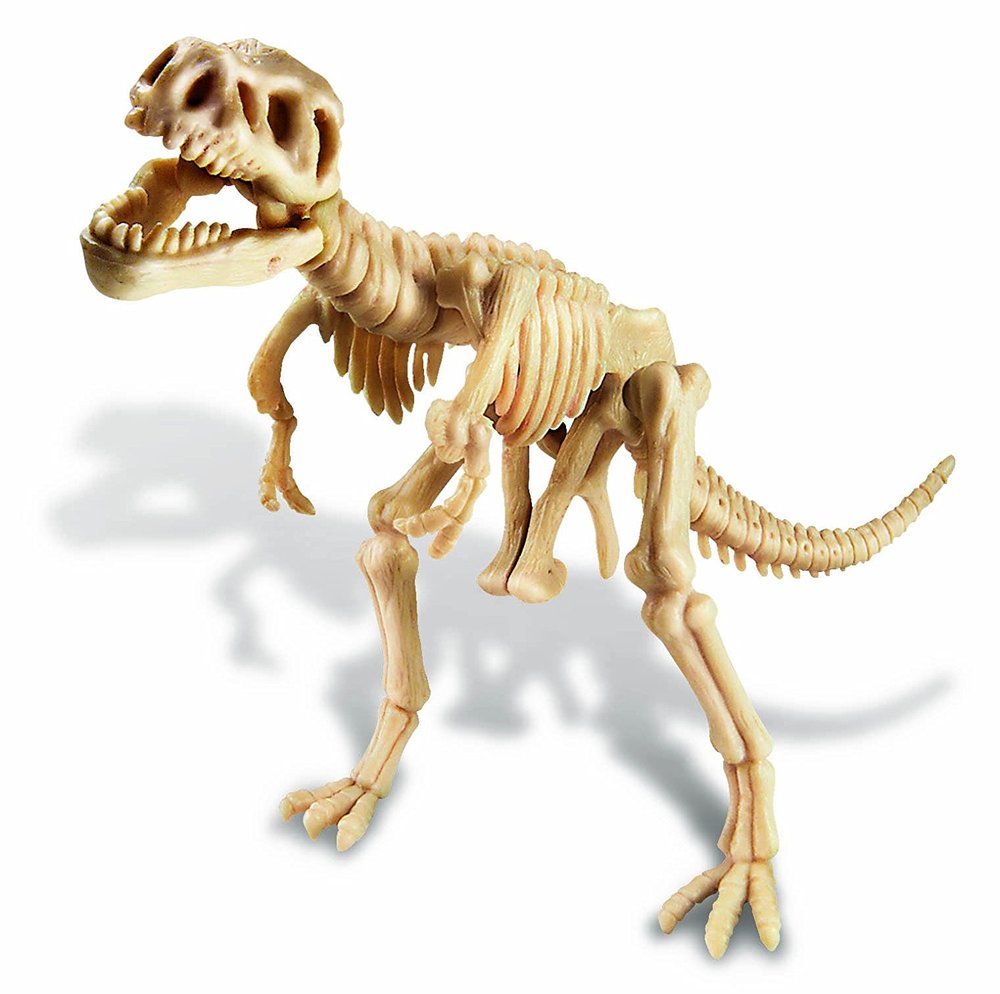 4m dinosaur excavation kit
