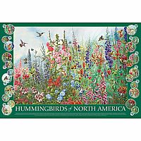 Hummingbirds of North America - Cobble Hill