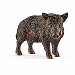 Wild Boar.