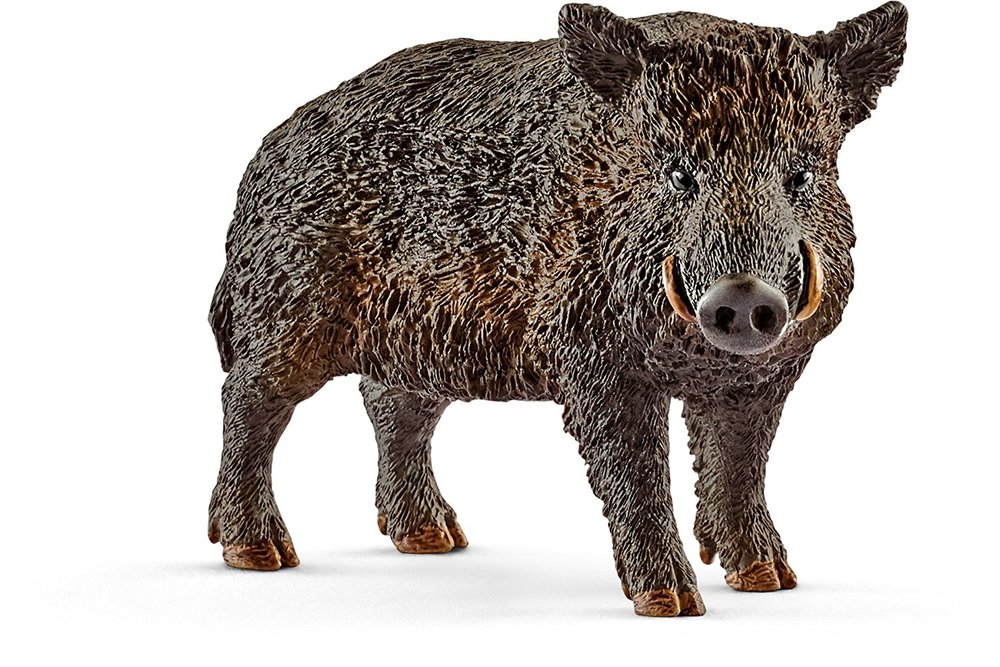 Wild Boar. - Toy Sense