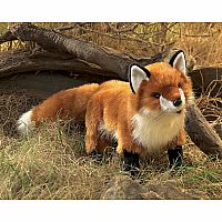 Red Fox Puppet.