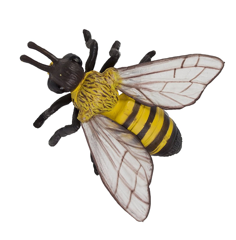bee cycle honey safariology toy honeybee sense r1