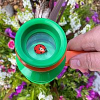 Nature Bound Bug Catcher & Viewer.