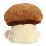 Palm Pals: Umami Shiitake Mushroom