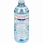 Real Canadian Natural Spring Water 500 mL Bottle