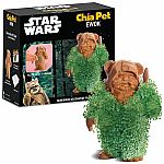 Ewok Chia Pet