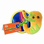 Giant Microbes - Acid Reflex  