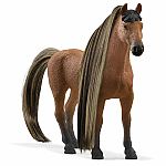 Beauty Horse Akhal-Teke Stallion