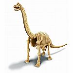 Dig a Dinosaur Skeleton - Brachiosaurus