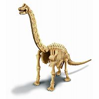 Dig a Dinosaur Skeleton - Brachiosaurus