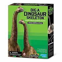 Dig a Dinosaur Skeleton - Brachiosaurus