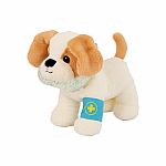 Happy Puppy Vet Set
