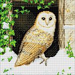 Crystal Art Medium Framed Kit - Snowy Owl