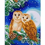 Crystal Art Large Framed Kit - Moonlight Perch