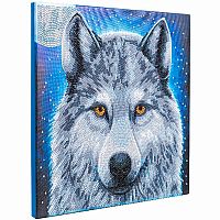 Crystal Art Medium Framed Kit - Moonlight Wolf