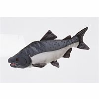Chinook Salmon - 17 inch