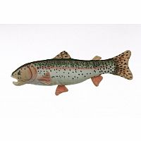 Rainbow Trout - 17 inch.