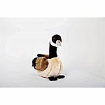 Canada Goose - 10 inch.