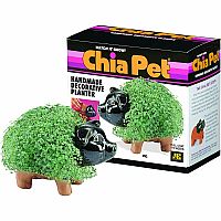 Pig Chia Pet 