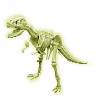 4M - Sci:Bits: Glow T-Rex Skeleton Puzzle