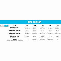 Boutique Cinderella Gown - Size 5-6