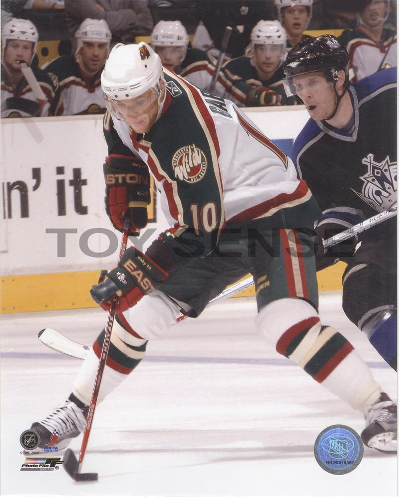NHL PHOTO 8 x 10: Dany Heatley - Toy Sense