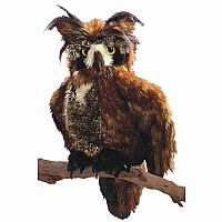 Great Horned Owl Puppet.