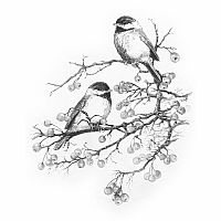 Sketching Made Easy - Chickadees with Winter Berries  