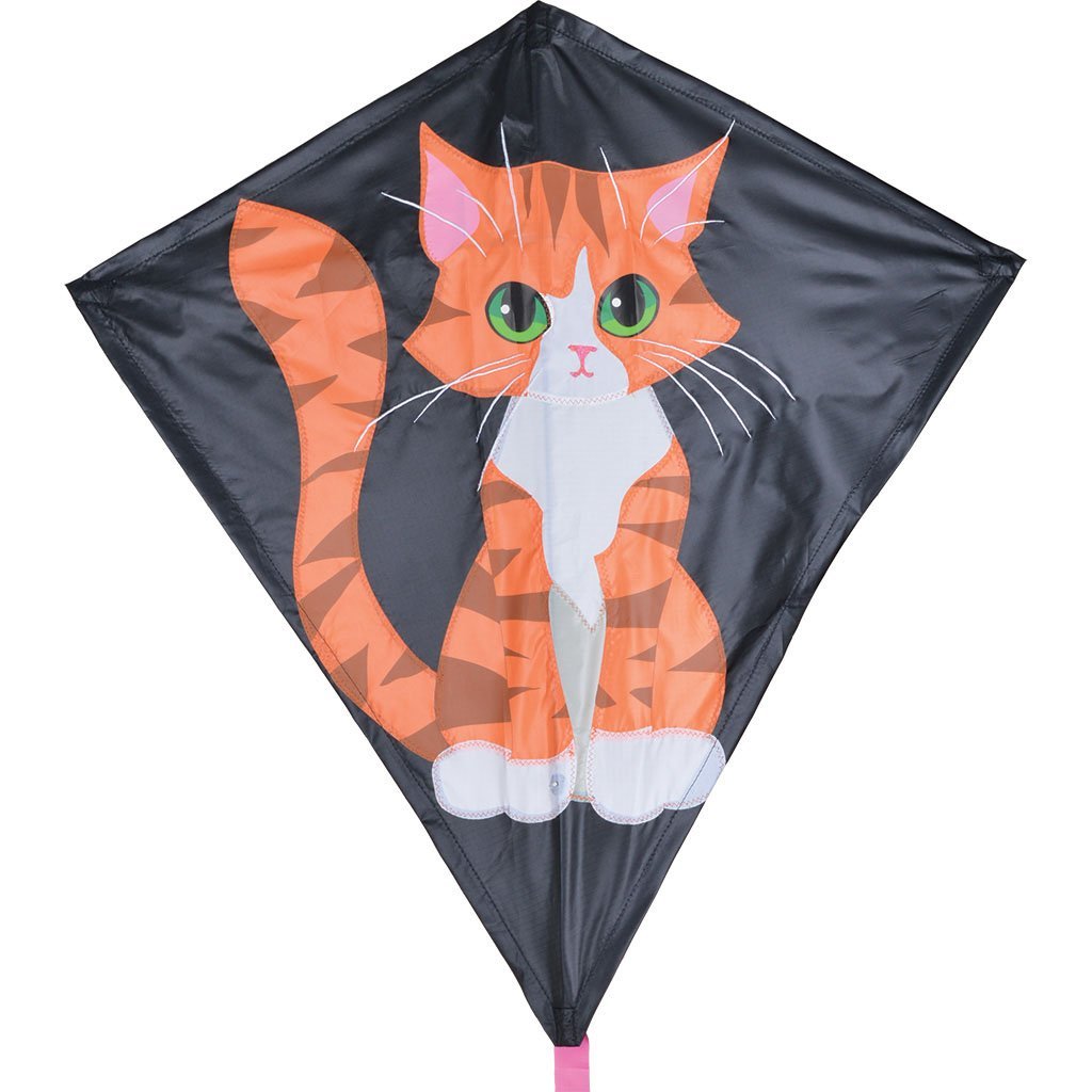 30 In. Diamond Kite Marmalade Cat Toy Sense