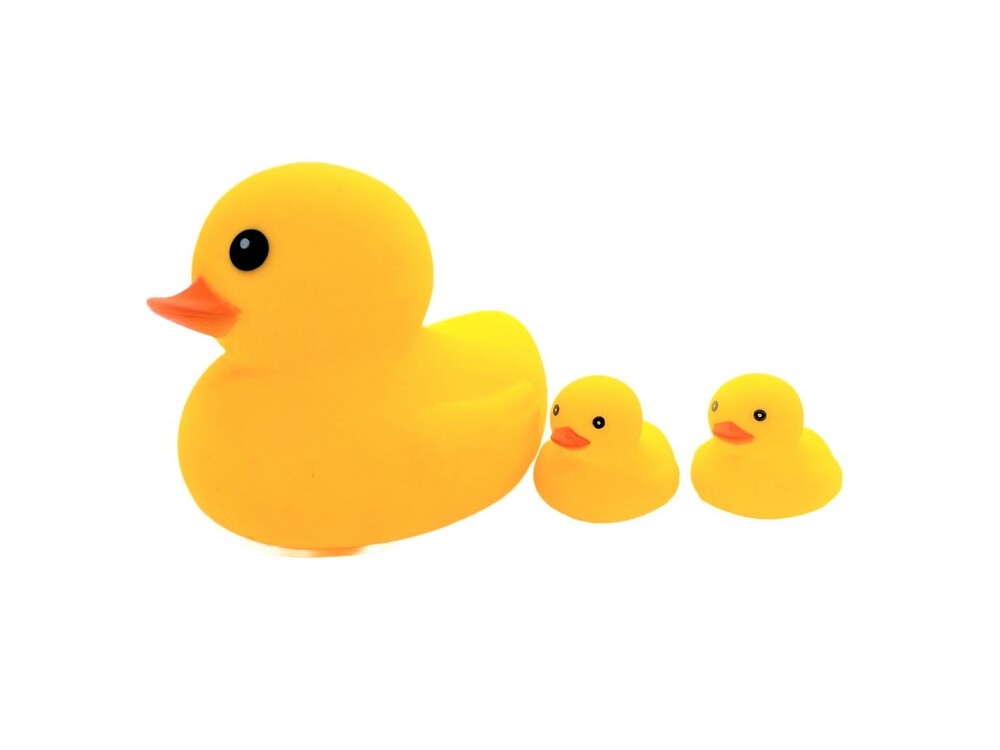 Rubber duck store