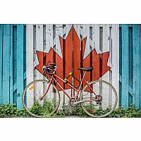 Cycling in Canada - Ali Tawfiq - Pierre Belvedere.
