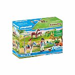 Country: Adventure Pony Ride - Retired