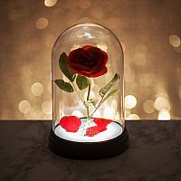 Beauty and The Beast: Enchanted Rose Desk Lamp 